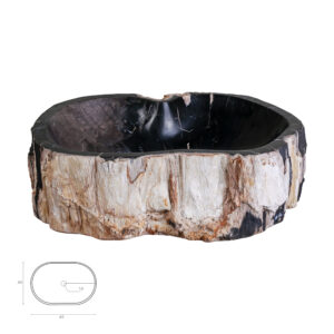 CARAXES SINK