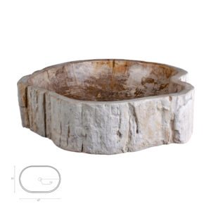 CORIOLANUS SINK