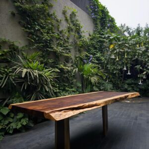 MESA COMEDOR AGUANOMASHA