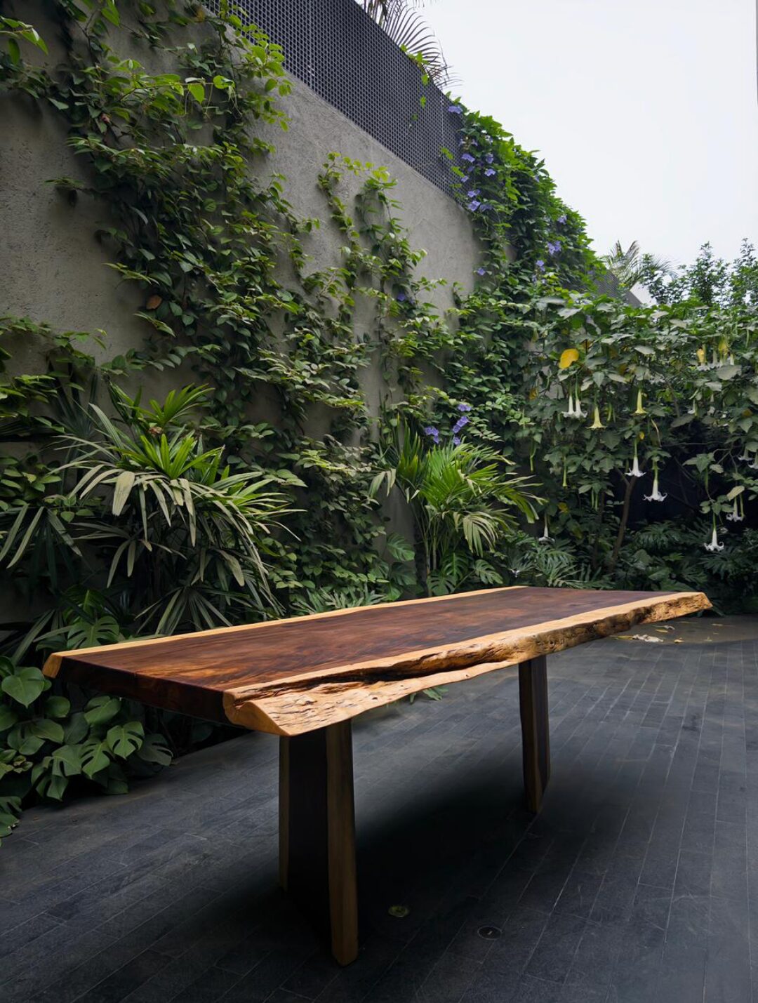 MESA COMEDOR AGUANOMASHA