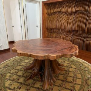 MESA COMEDOR SHIHUAHUACO
